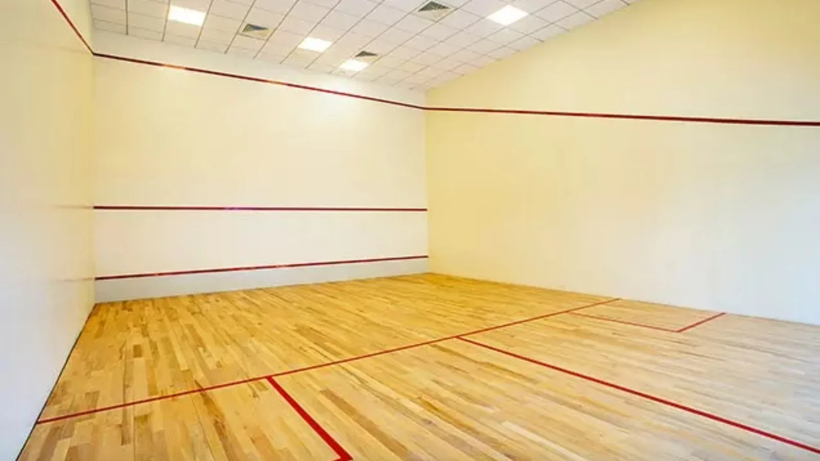 Shapoorji-Pallonji-Parkwest-Apartments-In-Mysore-Road-Central-Bangalore-indoor-tennis